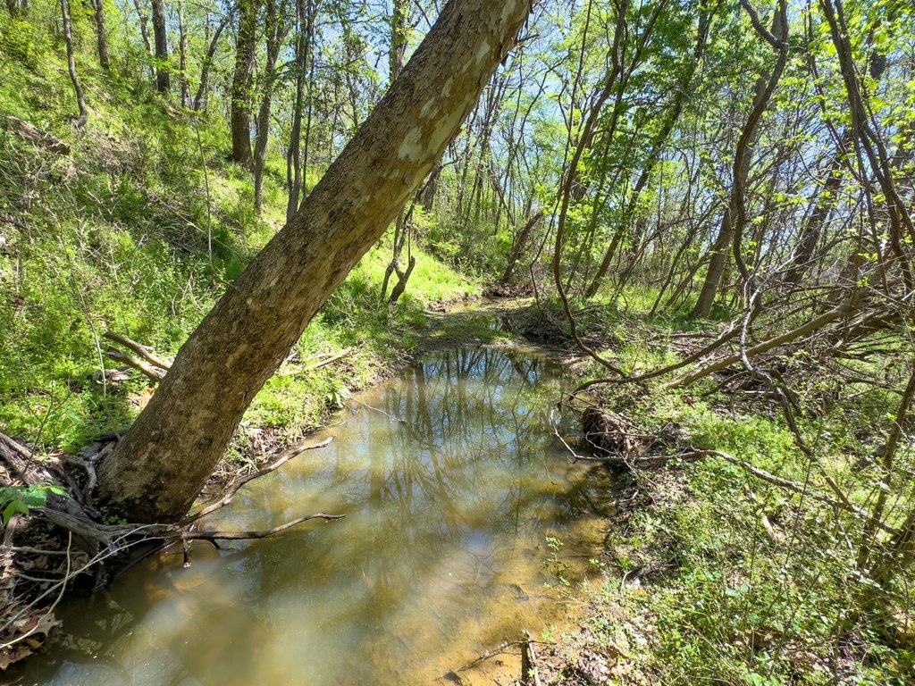 Picture 25