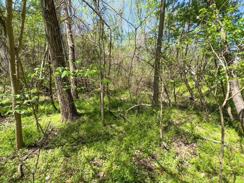 Picture 18