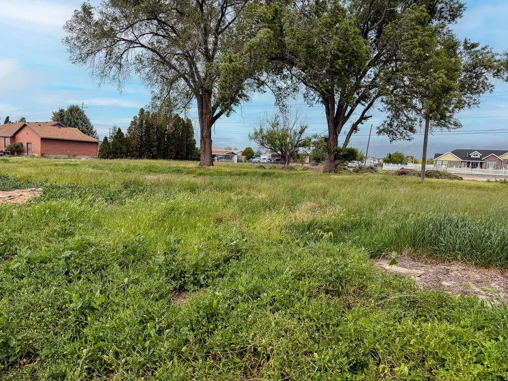 Picture 17