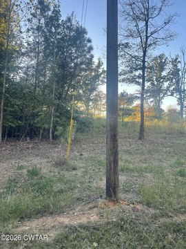 Land, Lexington, TN