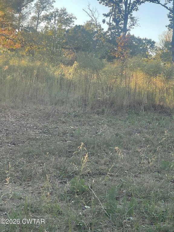 Picture 3