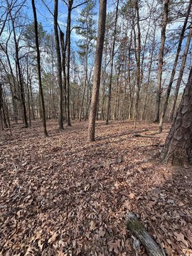Residential Land in Hot Springs