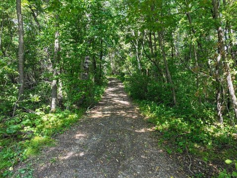 LAND - Brandon, MN