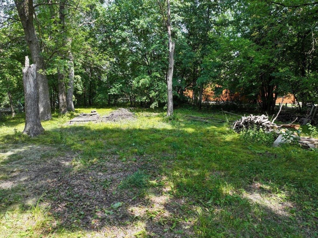Picture 23