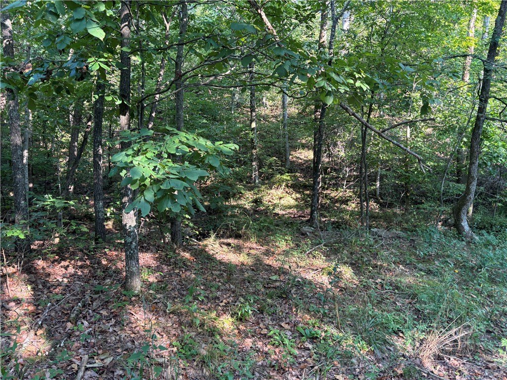 Picture 17