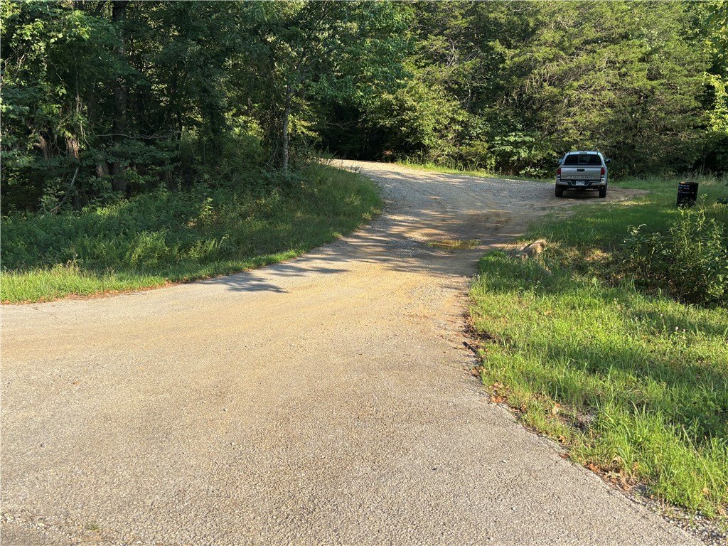 Picture 11