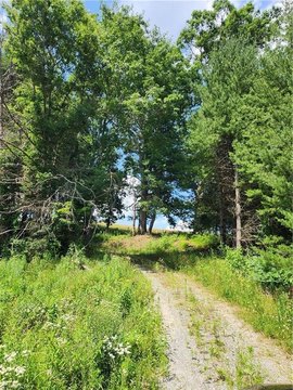 Unrestricted Land with Septic System