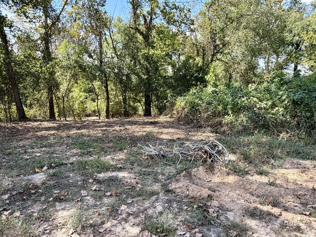Picture 5
