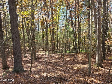 Land, Hawley, PA