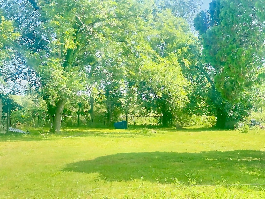 Picture 3