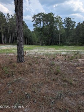 LAND - Eagle Springs, NC
