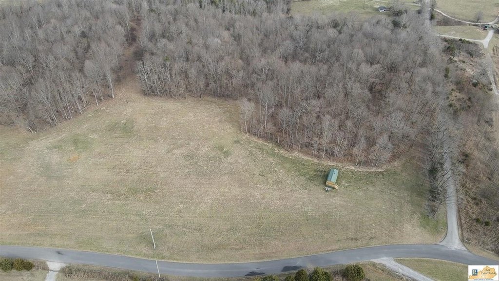 Picture 11