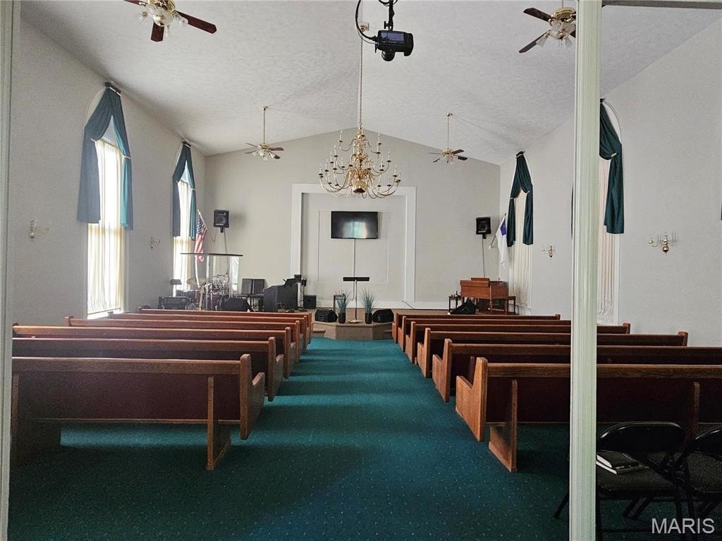 Picture 11