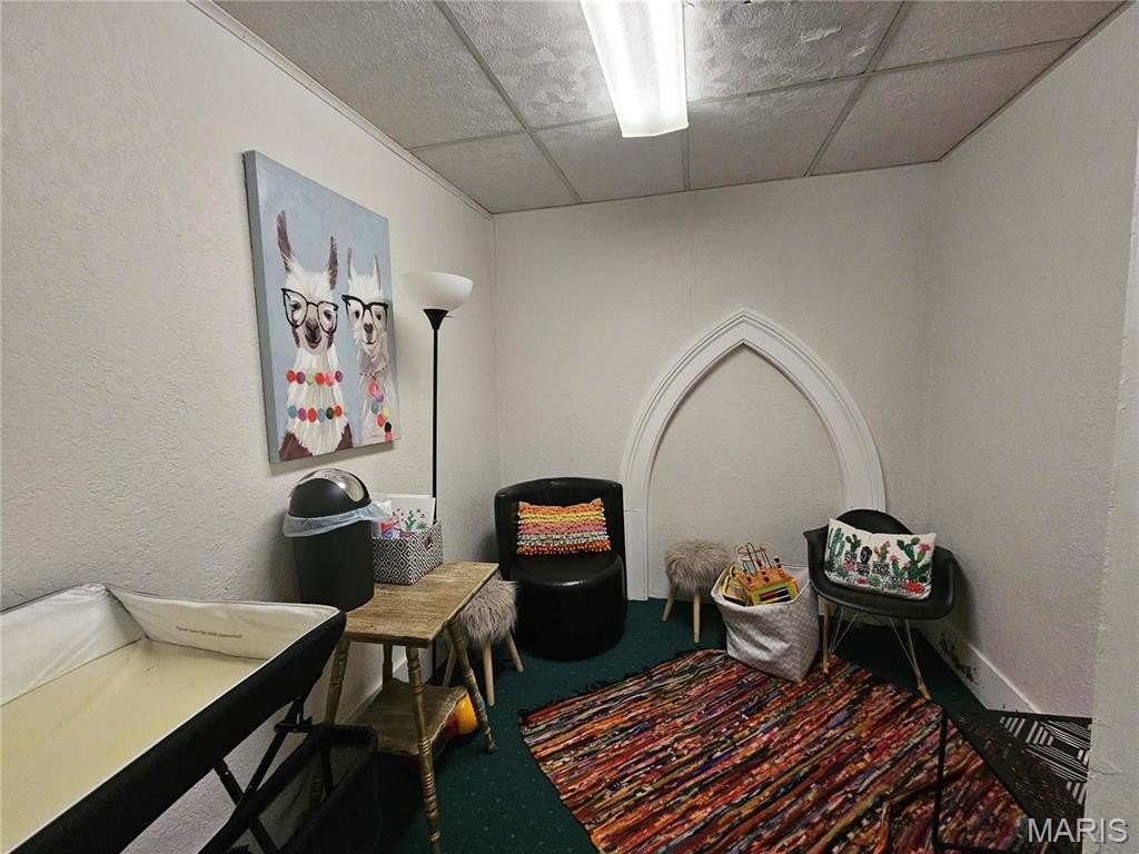Picture 25