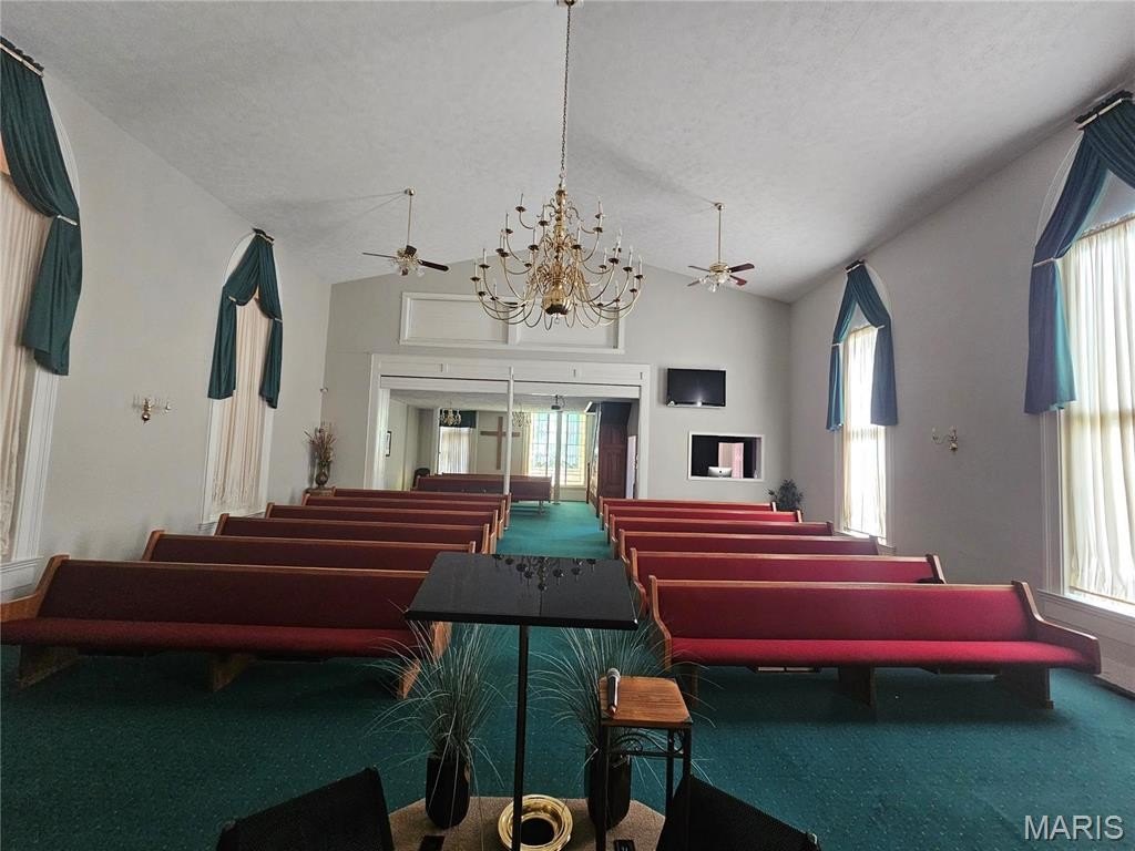 Picture 12