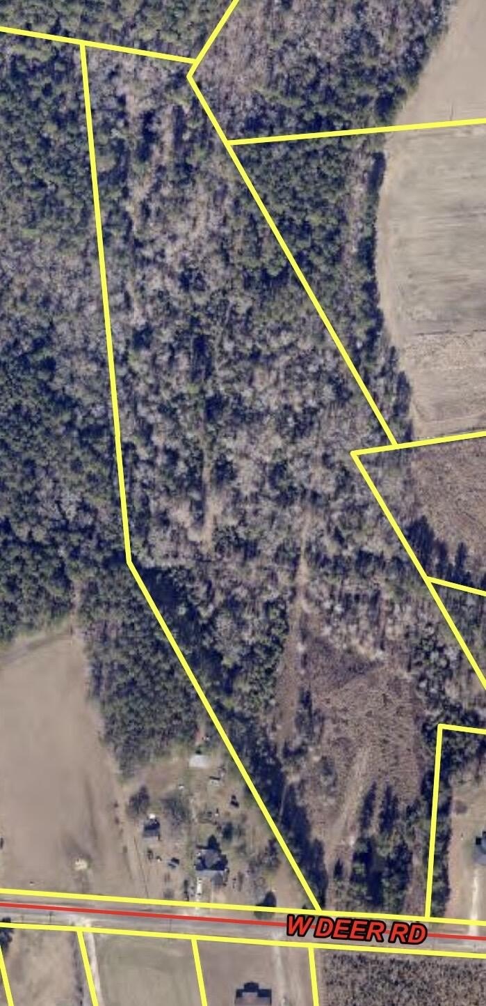 Timmonsville Land For Sale