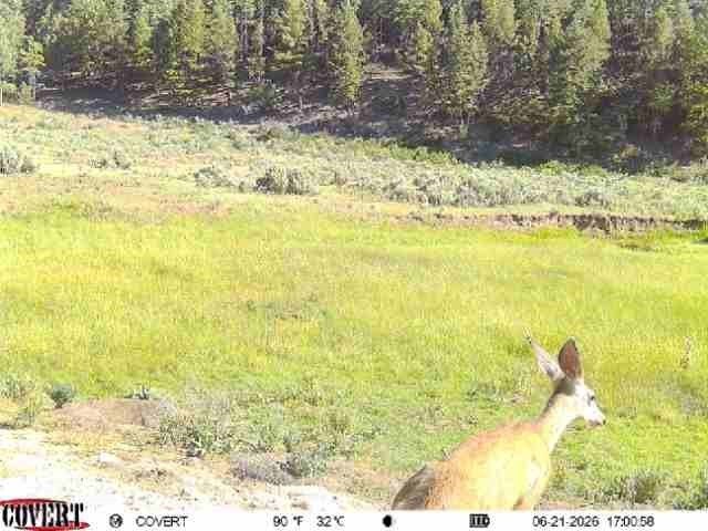 Picture 20