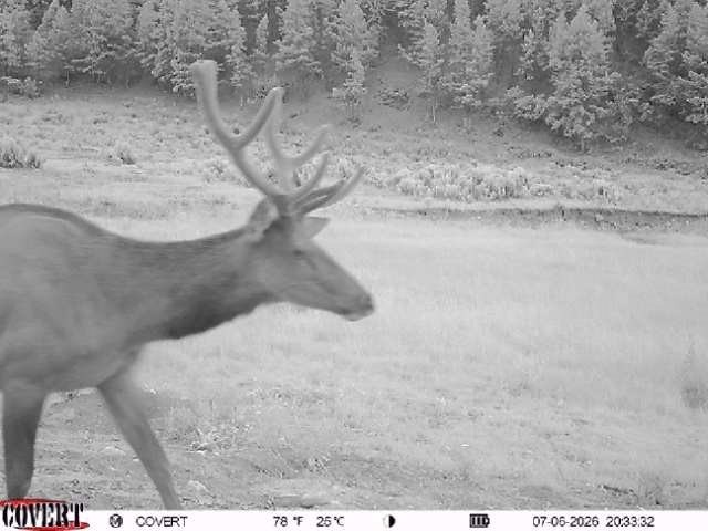 Picture 3