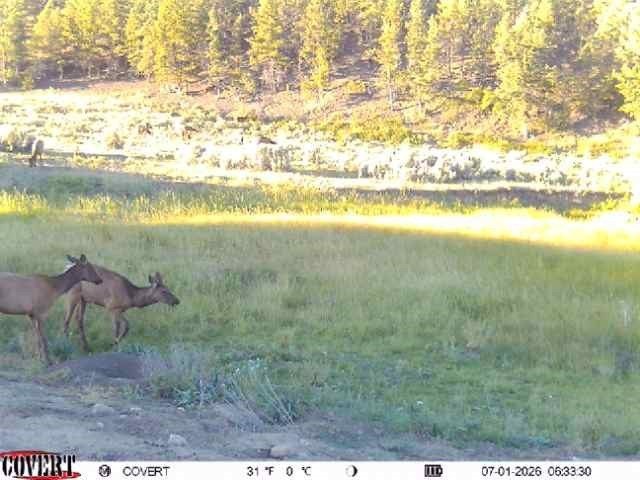 Picture 23