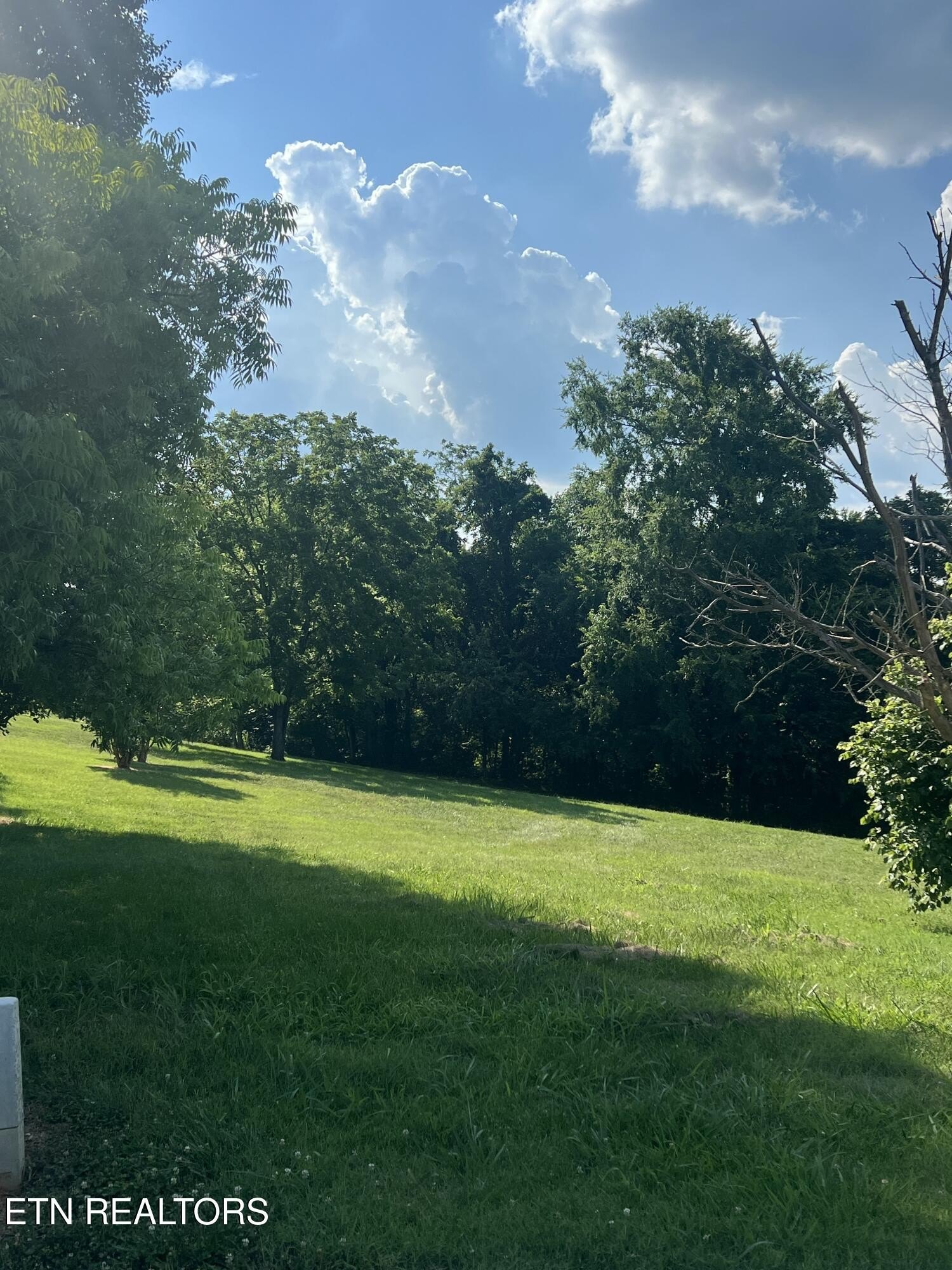 5 Acres in Blount County