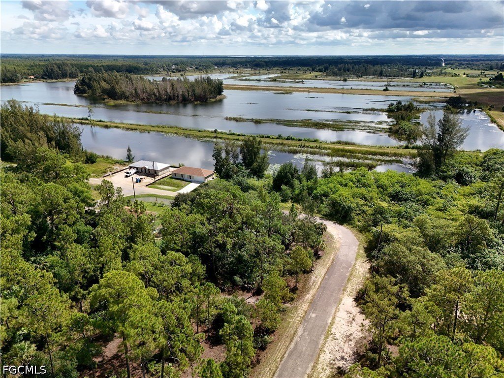 Picture 16