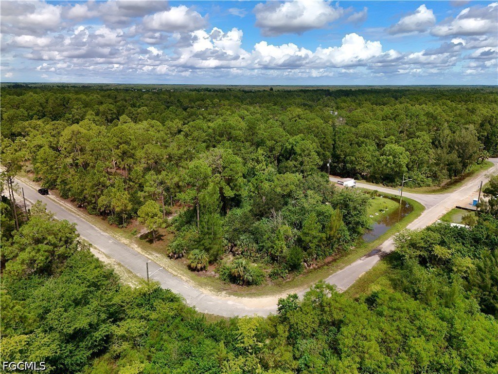 Picture 50