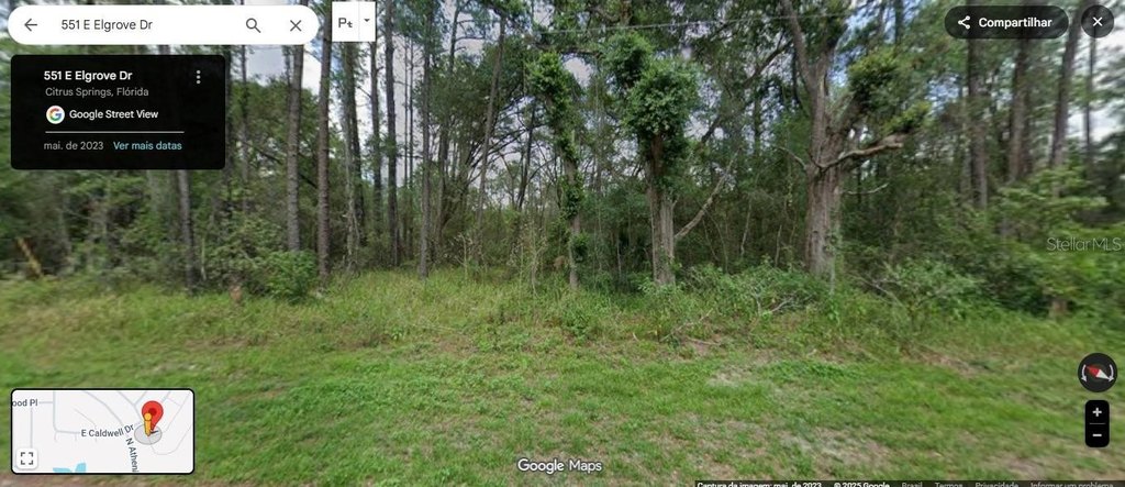 Picture 4