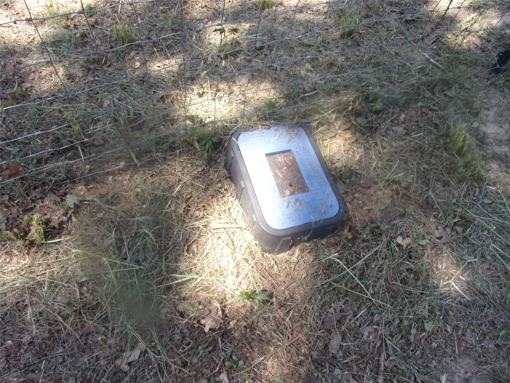 Picture 10
