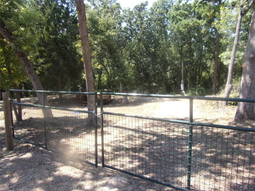 Picture 8