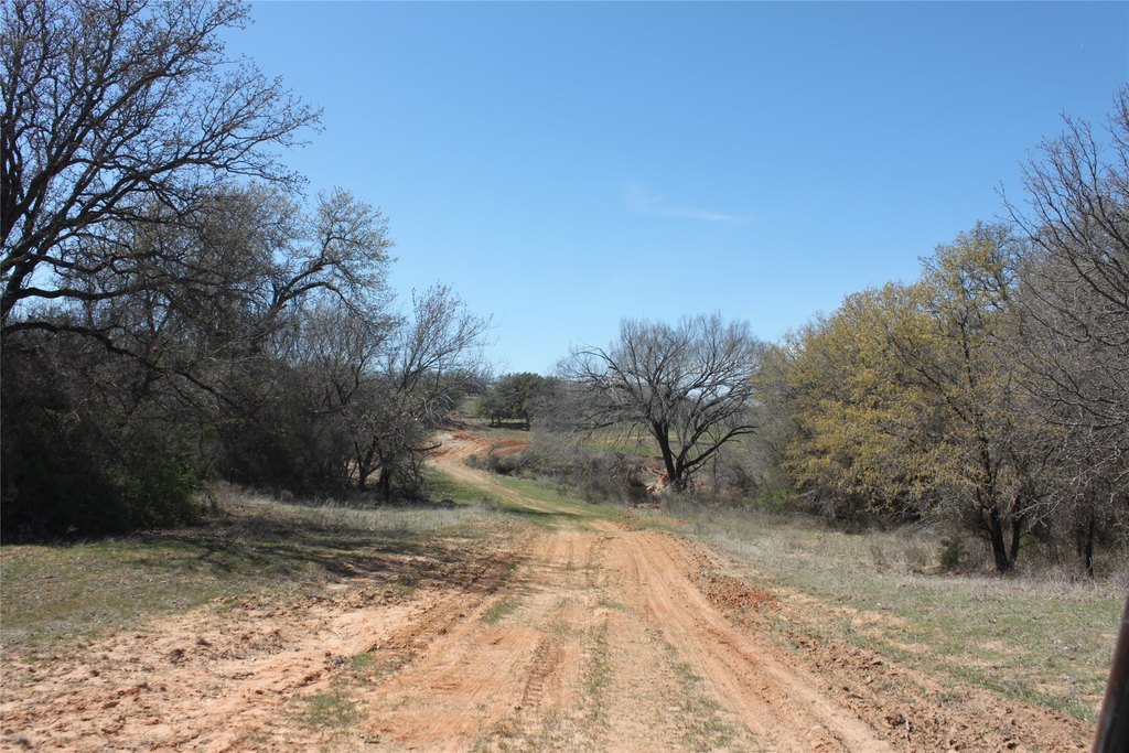 Picture 12