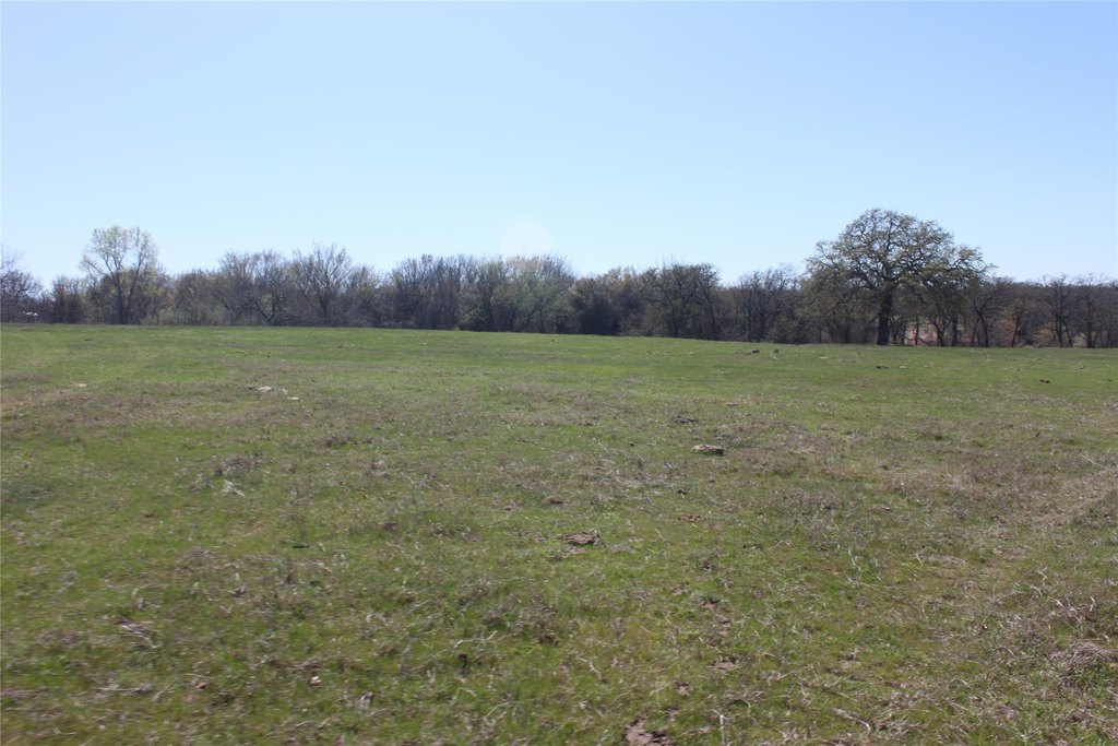 Picture 27