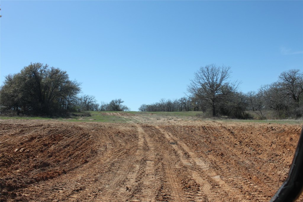 Picture 10