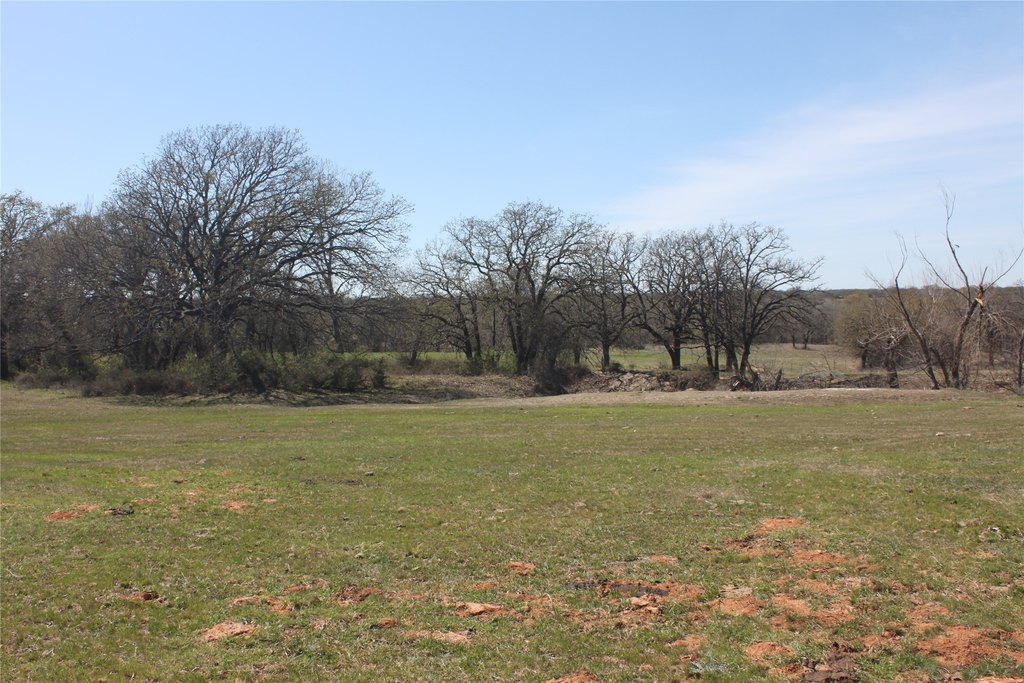 Picture 28