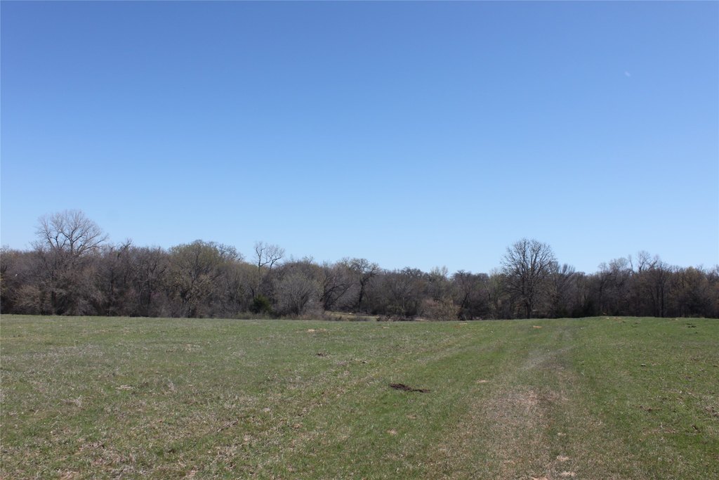 Picture 20