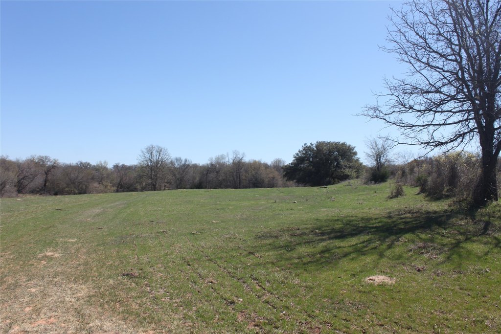 Picture 19