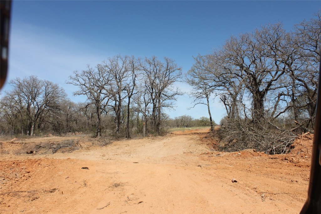 Picture 25