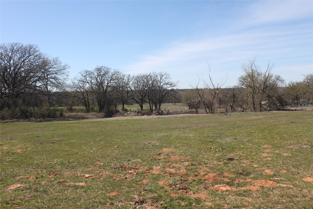 Picture 29