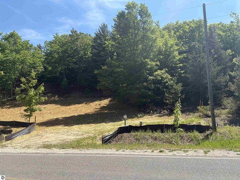 Vacant Lot/Land - Cedar, MI