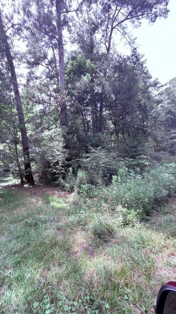 Picture 7