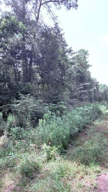 Picture 4