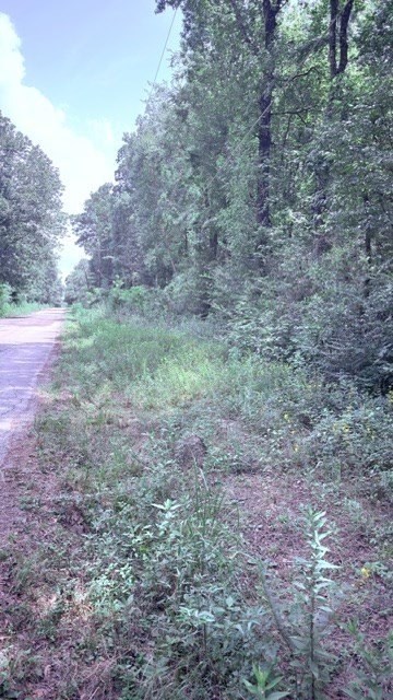 Picture 8