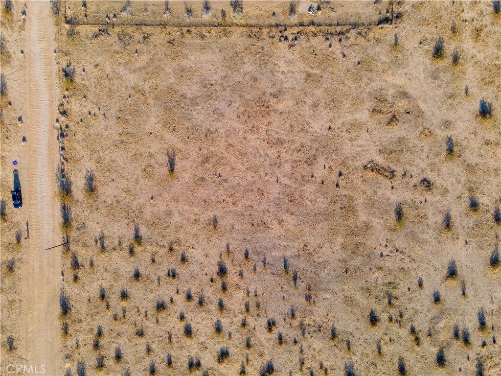 Picture 6