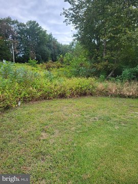 Land For Sale in Hartly