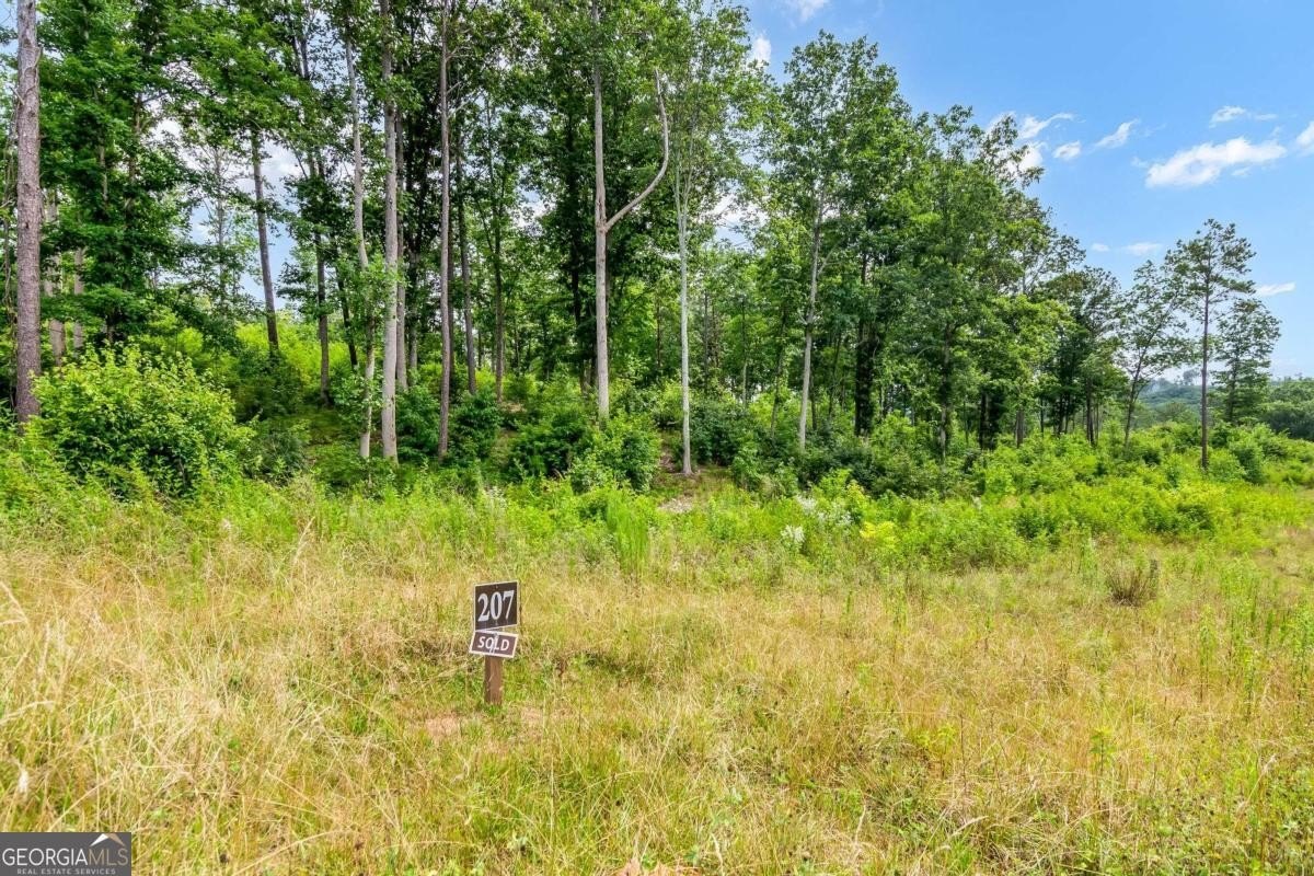 Talking Rock Land For Sale