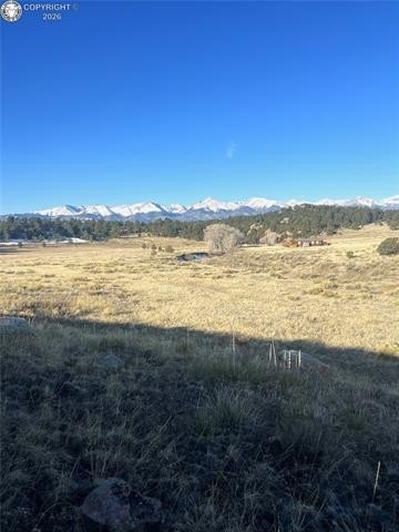Picture 27