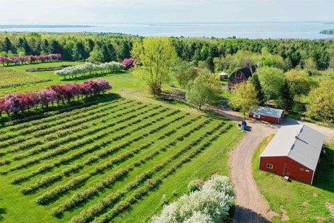 Enchanting Farm with Historic Charm