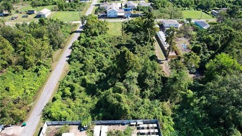 Undeveloped Lots in Harvey, LA