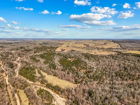 40 Acres in Gainesville, MO