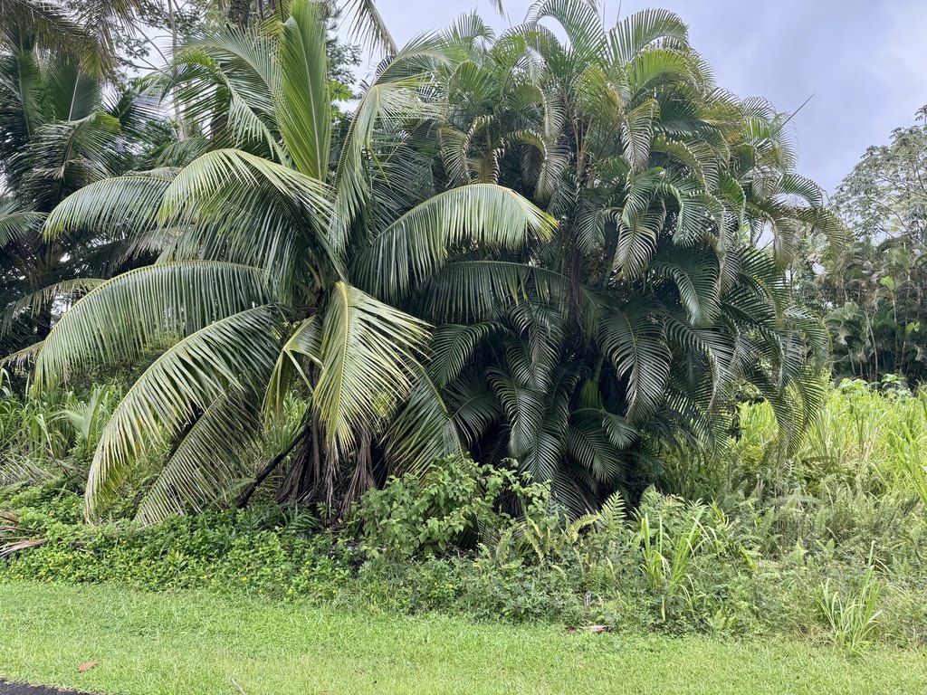 Picture 6