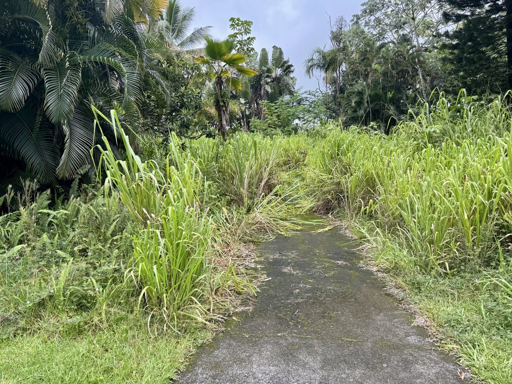 Picture 5